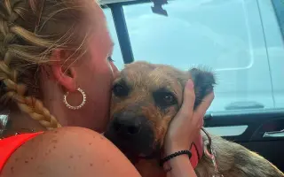 Sbírka na léky pro Nollie