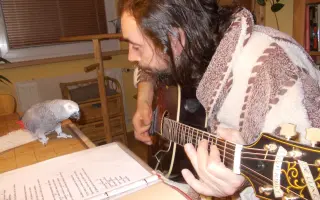 Opravdický cédéčko