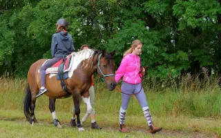 Nový kůň do hiporehabilitačního týmu