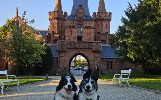 Život bez bolesti pro Mildu