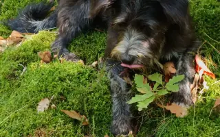 Pomozme Ivaně získat elektrickou tříkolku pro návrat do běžného života