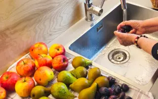 Pět smyslů pro Pomněnku