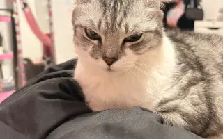 Daisy bojuje o život. Pomozme jí znovu dýchat