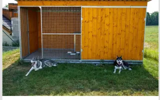 Kotce pro dočasné péče našich svěřenců 🐾