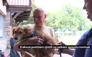 Canisterapie CANTES v krajích ČR jako sociální rehabilitace