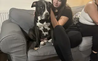 Pomoc pro staffíka Marleyho