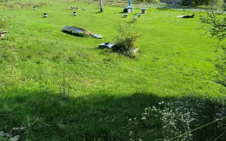 Statek naděje – nový domov pro psy