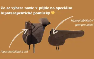Zachraňme hipoterapii pro děti s postižením