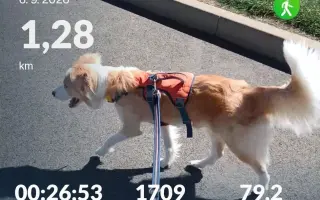 Pomohli jste Shelbynce znovu běhat bez bolesti