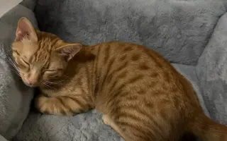 Pomozme Teovi znovu chodit bez bolesti