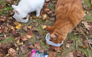 8 nalezených Lásek