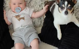 Šance na bezbolestný pohyb pro Pupika