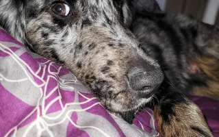 Pomoc pro Rozárku ❤️
