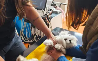 Pomozte Nellince prožít kvalitní život