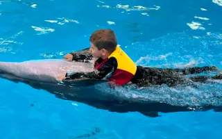 Delfinoterapie a hipoterapie pro Arturka
