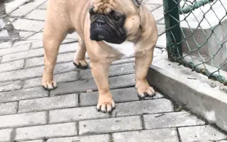 Pomozme Adonisovi znovu dýchat
