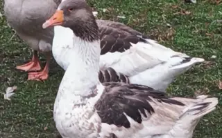Pomozme společně obnovit zničenou farmu a živobytí farmáře Vládi!