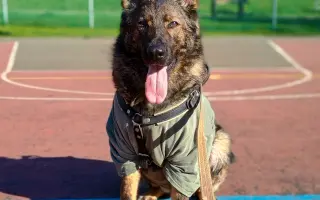 Léčba, která nekončí - Fůrie