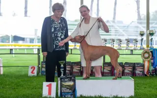 Pomoc pro Nyu - naši bojovnici ❤️