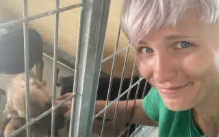 Pomozte nám postavit útočiště pro psy z ulice