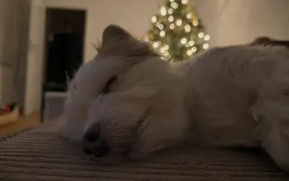 Pomoc pro Enny