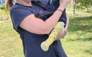 Pomozte nám zachraňovat zvířecí životy  - Zachraňujme se spolkem, z. s.