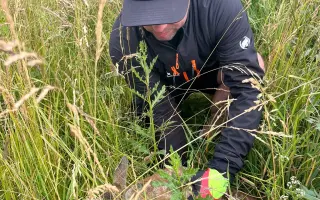 Dron s termovizí na záchranu srnčat a ztracených psů