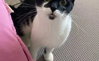 Operace očí a život bez bolesti pro Černocha