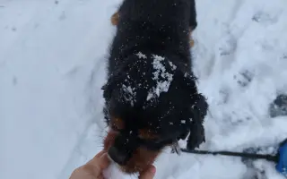 Automobil pro Martina s omezenou hybností