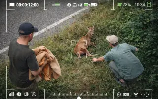 Zastav se na chvíli – pomoz nám chránit zvířata na silnicích!