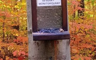 POMOC PRO FOXÍČKA, ASPENA A TAFFY-JACKA