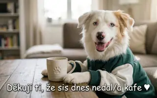 Podpořte vybudování centra, aby i slepí a hluší pejsci našli bezpečný domov