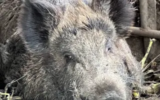Pomozme společně obnovit zničenou farmu a živobytí farmáře Vládi!