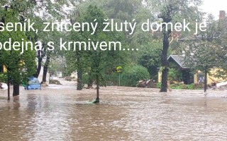 Povodňová sbírka pro útulky