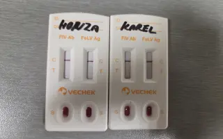 Prosba o příspěvek na nákup krmiva a steliva pro kočičky z Píšánku