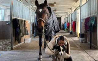 Pomozte zachránit Gryffiho život