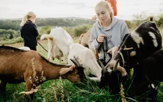 Přístřešek pro zvířata z Kozího spolku