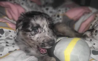Pomoc pro Rozárku ❤️