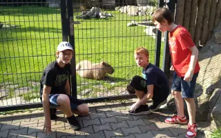 Pomoc na nákladnou opravu vozidla sloužícího k dopravě postižených dětí