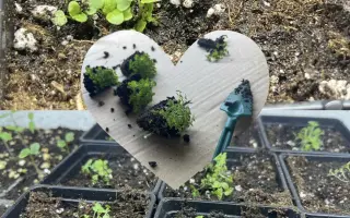 Podpořte bylinkový projekt Azeret Herbs