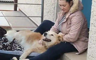 FOXY čekal 10 let na domov. Konečně ho našel. Teď bojuje o život.