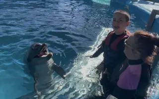 Pojďme splnit Vánoční přání Patrikovi, a to letět za delfíny❤️