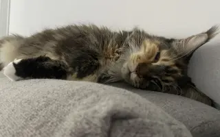 Pomoc pro Enie v boji s nádorem