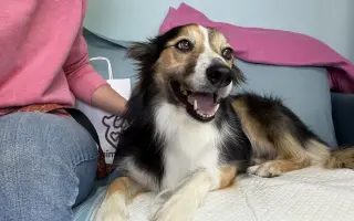 Pomôžme Delonke bojovať ďalej