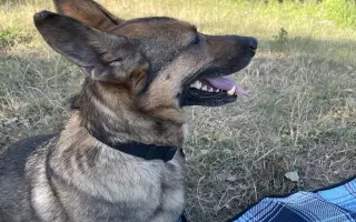 Pomozme Letty postavit se znovu na nožičky