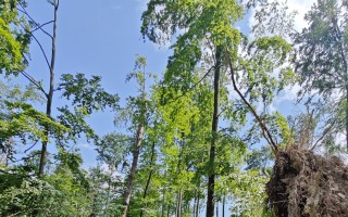 ZACHRAŇME SINGLETRAIL MORAVSKÝ KRAS JEDOVNICE