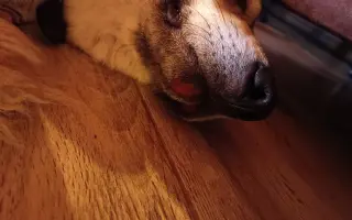 Pro Eli 🩷 Prosím, pomozte nám ji znova rozběhat.