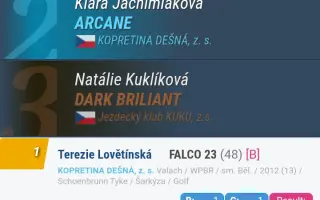 Pomozme Falcovi zachránit zrak a vrátit se k dětem, které ho milují