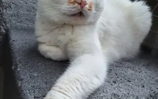 8 nalezených Lásek