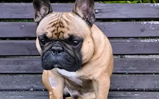Pomozme Adonisovi znovu dýchat